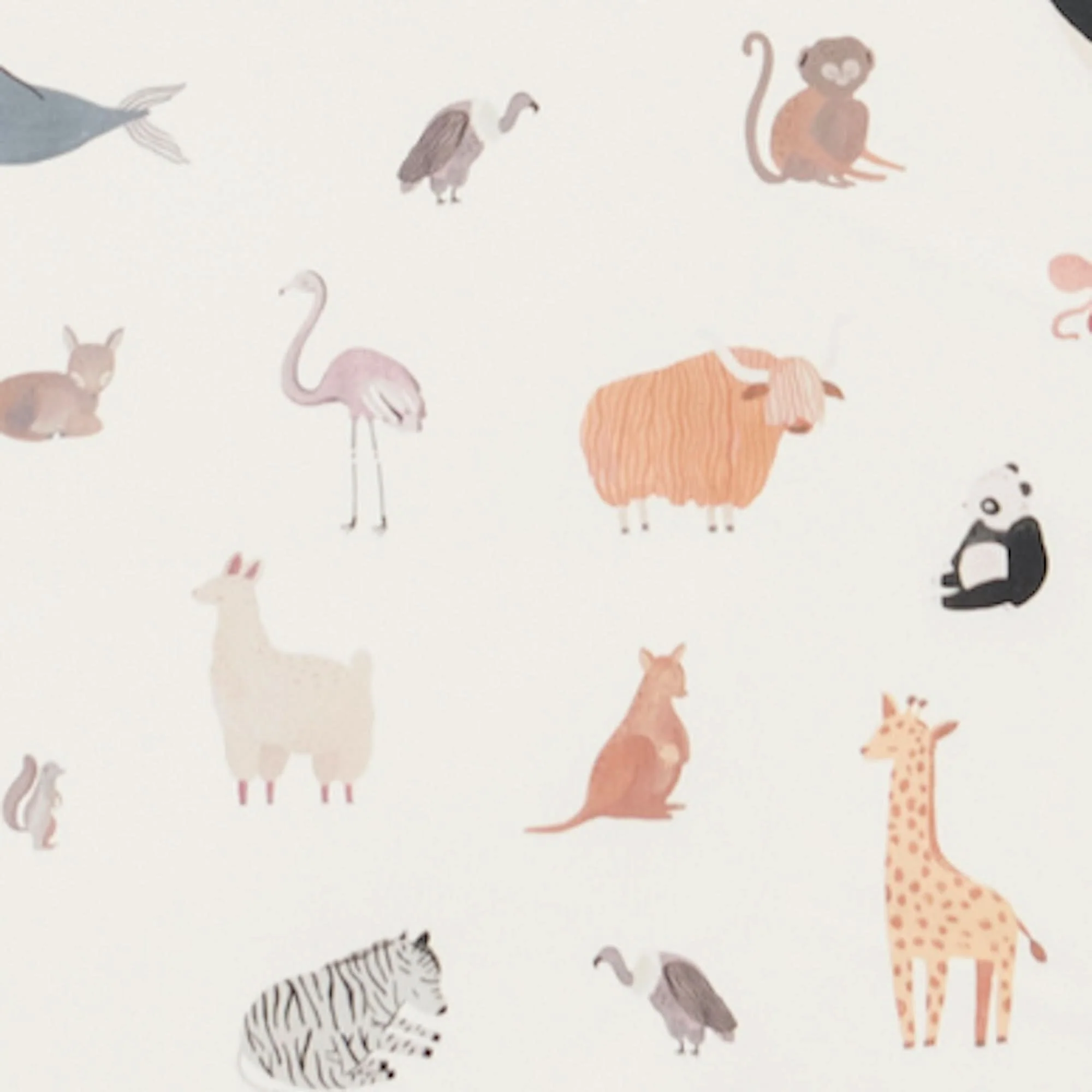 Thumbnail 20